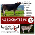 AG-SOCRATES-PS